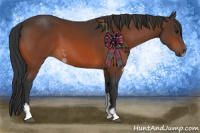 Horse Color:Bay Sabino Rabicano 