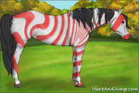 Horse Color:Blue Roan Tobiano 