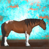 Horse Color:Buckskin Tobiano 
