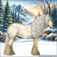 Horse Color:Palomino Appaloosa