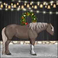 Horse Color:Silver Black 
