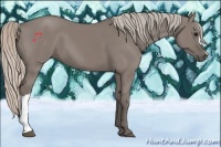 Horse Color:Silver Grullo 