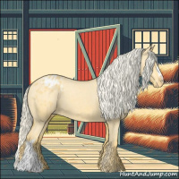 Horse Color:Palomino Appaloosa 