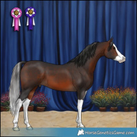 Horse Color:Brown Splash