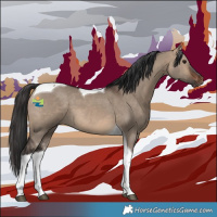 Horse Color:Brown Dun Tobiano 