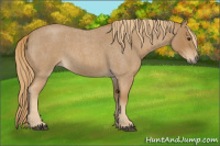 Horse Color:Red Roan 