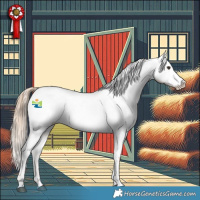 Horse Color:Red Dun Appaloosa 