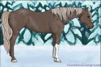 Horse Color:Silver Black 