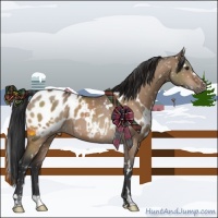 Horse Color:White Spotted Brown Dun Blanket 