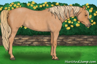 Horse Color:Red Roan 