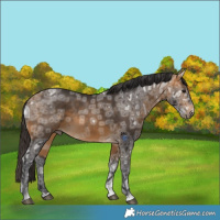 Horse Color:Buckskin Ice 