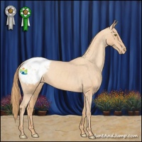 Horse Color:Gold Champagne Snowcap 