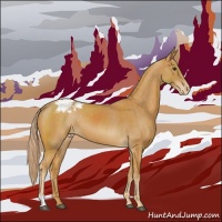 Horse Color:Palomino Appaloosa 