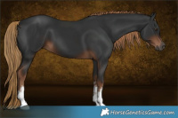 Horse Color:Gray White Spotted Liver Chestnut 