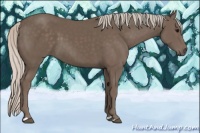 Horse Color:Silver Black 