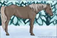 Horse Color:Silver Black 