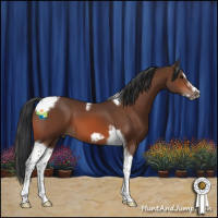 Horse Color:Bay Tobiano Frame 