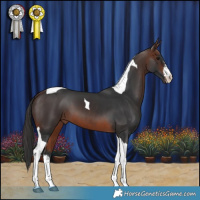 Horse Color:White Spotted Brown Tobiano 
