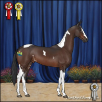 Horse Color:White Spotted Brown Tobiano 