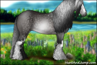 Horse Color:Gray White Spotted Brown 