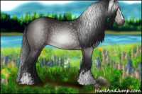 Horse Color:Gray White Spotted Brown 