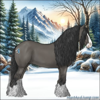 Horse Color:Grullo Splash 