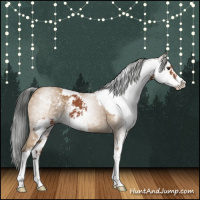 Horse Color:Bay Sabino and Gray Buckskin Sabino