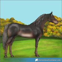 Horse Color:White Spotted Liver Chestnut Mushroom 