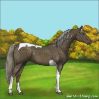 Horse Color:Chocolate Palomino Mushroom Tobiano