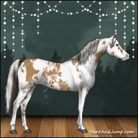 Horse Color:Buckskin Sabino and Silver Bay Sabino