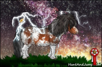Horse Color:White Spotted Brown 