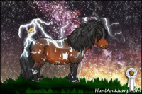 Horse Color:White Spotted Brown 