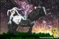 Horse Color:White Spotted Black Appaloosa 