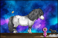 Horse Color:White Spotted Brown Chinchilla Appaloosa 