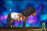 Horse Color:White Spotted Bay Appaloosa 