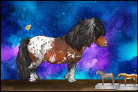 Horse Color:White Spotted Brown Appaloosa 
