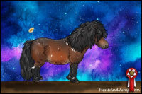 Horse Color:White Spotted Bay 