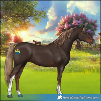 Horse Color:Liver Chestnut Tobiano 