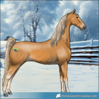 Horse Color:Palomino 