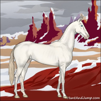 Horse Color:Perlino Dun 