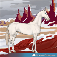 Horse Color:Perlino Dun 