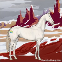 Horse Color:Smoky Creme Roan Dun 
