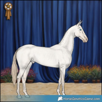 Horse Color:Smoky Creme Roan Dun 