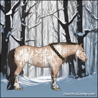 Horse Color:Bay Roan Dun  and Bay Roan Dun Frame 