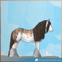 Horse Color:Brown Sabino  and Amber Champagne Sabino 