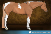 Horse Color:Chestnut Tobiano