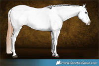 Horse Color:White Spotted Grullo Tobiano Varnish 