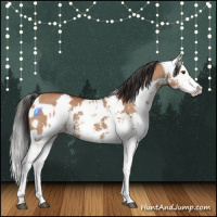 Horse Color:Bay Dun Sabino and Gray Buckskin Dun Sabino
