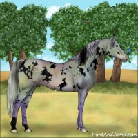Horse Color:Void Watercolor White Spotted Silver Brown Dun