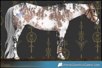 Horse Color:Platinum Brown Sabino  and Platinum White Spotted Brown 